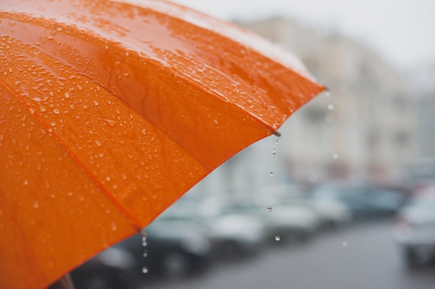 Rain on umbrella