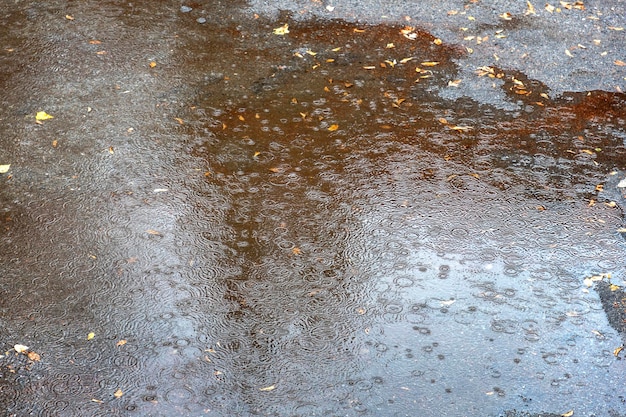 Rain water drops falling to the city street floor in autumn rainy day