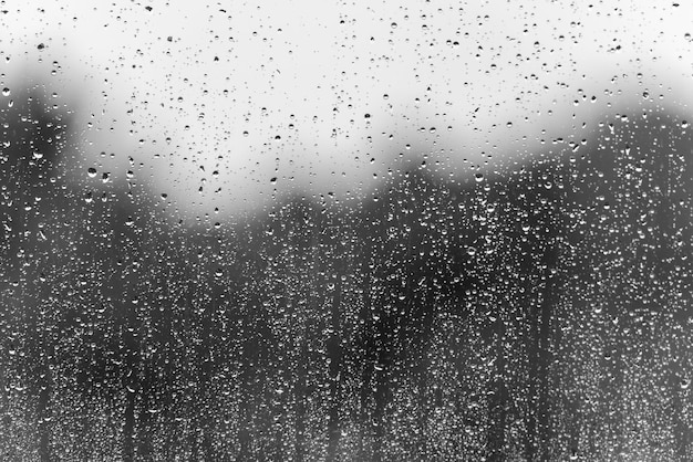 Rain water drops on a window glass