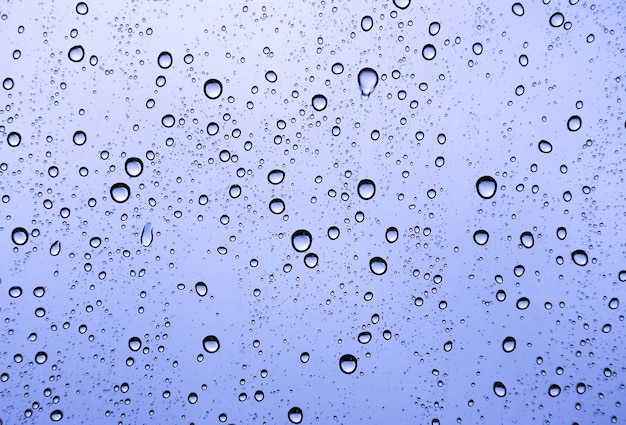 Rain water drops