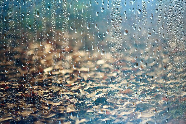 雨窓秋の公園の枝は黄色/抽象的な秋の背景、雨の窓の風景、天気10月の雨を残します