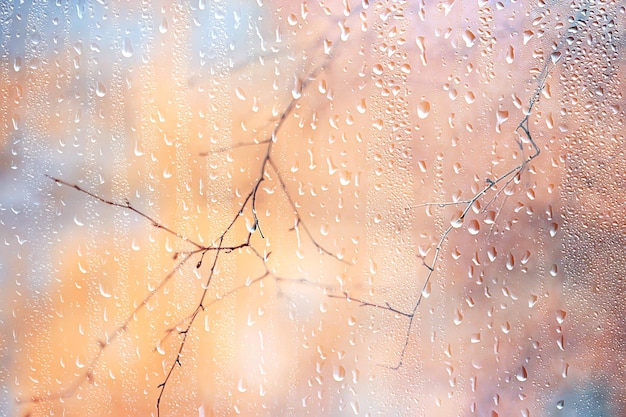 rain window autumn park branches leaves yellow / abstract autumn background, landscape in a rainy window, weather October rain