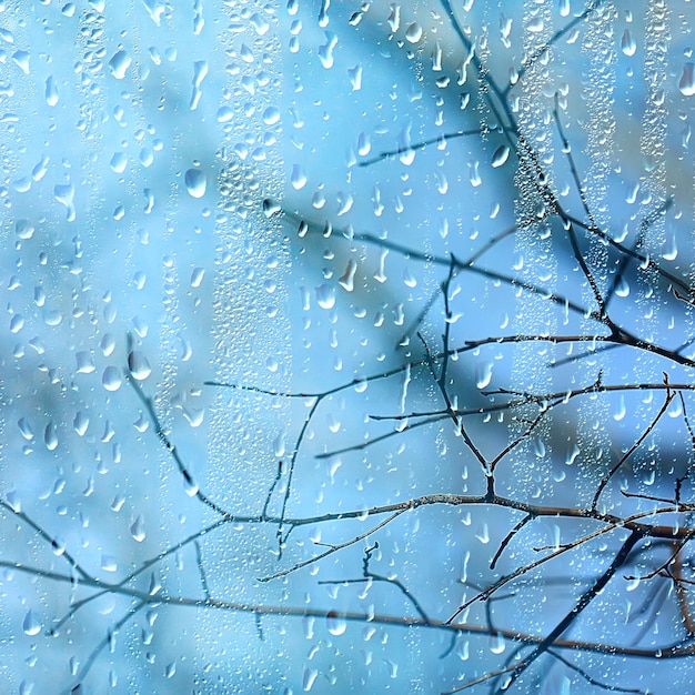 雨窓秋の公園の枝は黄色/抽象的な秋の背景、雨の窓の風景、天気10月の雨を残します