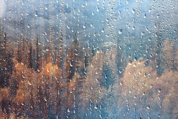 雨の窓の眺め、ガラスの景色の森と山の風景の背景に水滴