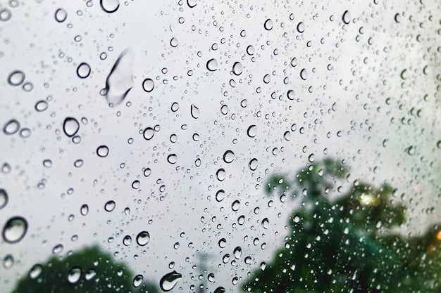 Photo rain on the window