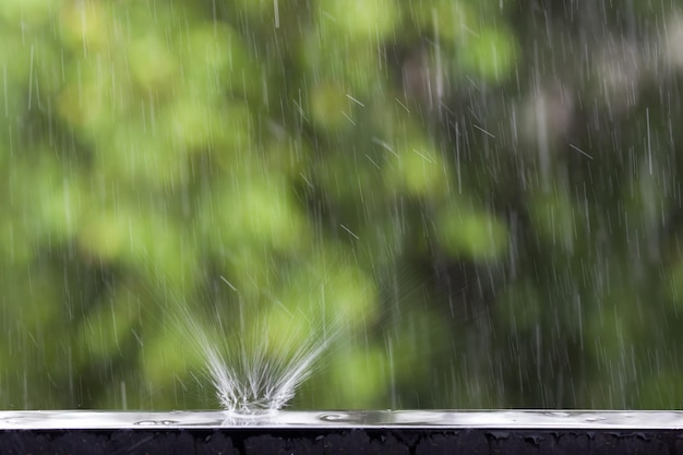 雨