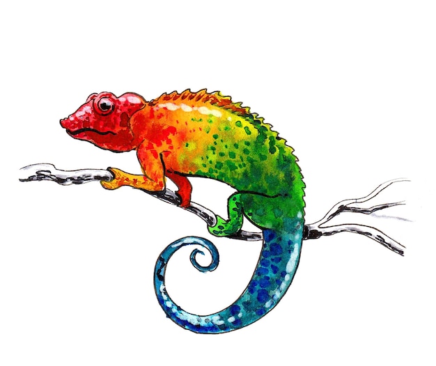 Photo rainbow chameleon on a branch