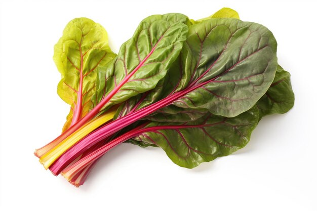 Rainbow chard on a white background