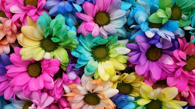 Premium Photo | Rainbow Daisies. Rainbow Flower. Bouquets of blossom