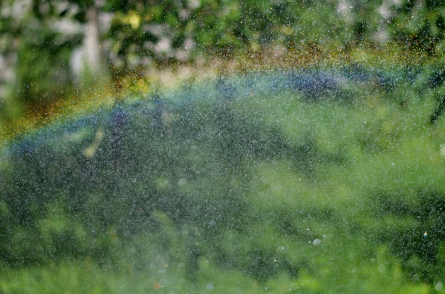 Foto effetto arcobaleno