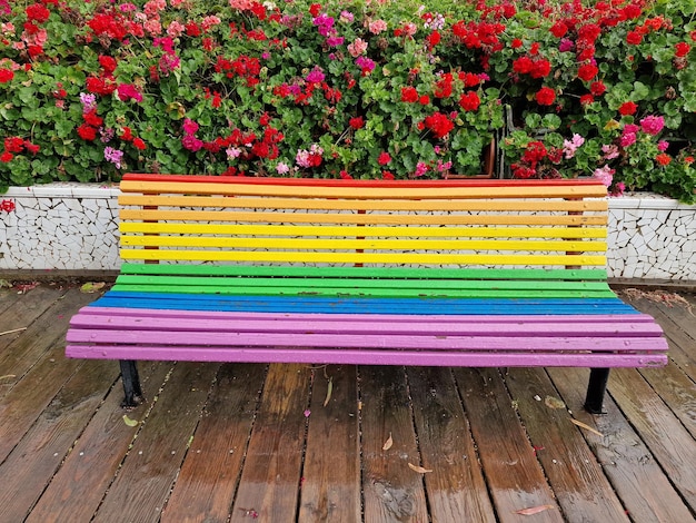 Rainbow flag bench after the rain in Valencia