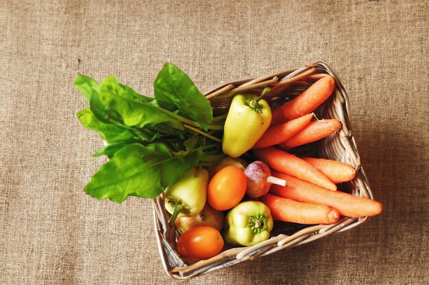 A rainbow of fresh flavorful vegetables