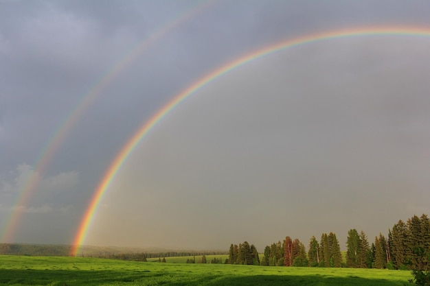 Rainbow over green field
