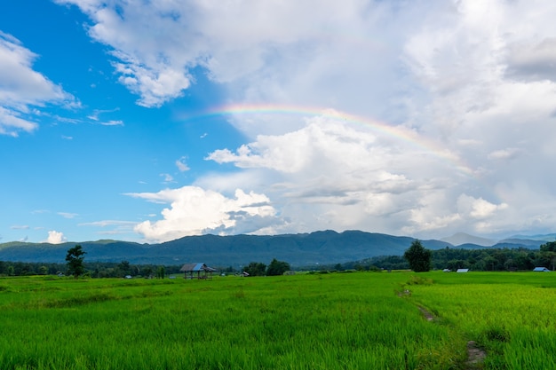 写真 農地のある山の上の美しい空に虹