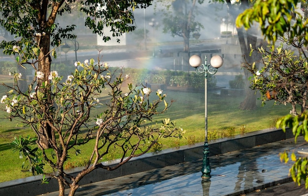 A rainbow is seen in the rain next to a tree.