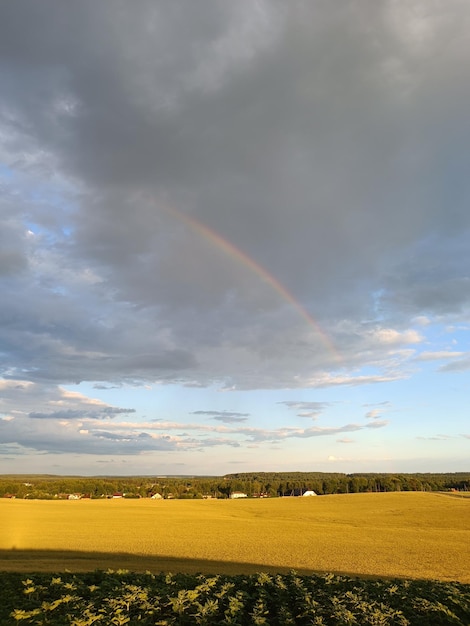 A rainbow is in the sky above a field.