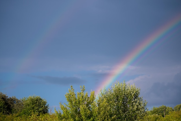 A rainbow is in the sky above some trees.