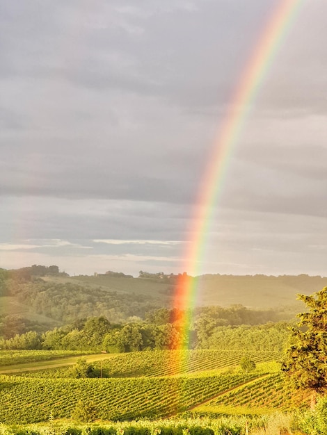 Foto isola dell'arcobaleno