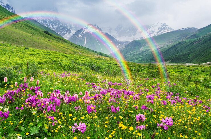 Rainbow in the mountains. Landscape with summer flowers. Sunny weather. Zemo Svaneti, Georgia, Caucasus