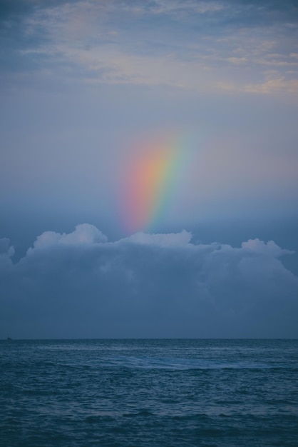 雨の後の夕方、海にかかる虹は穏やかな水です