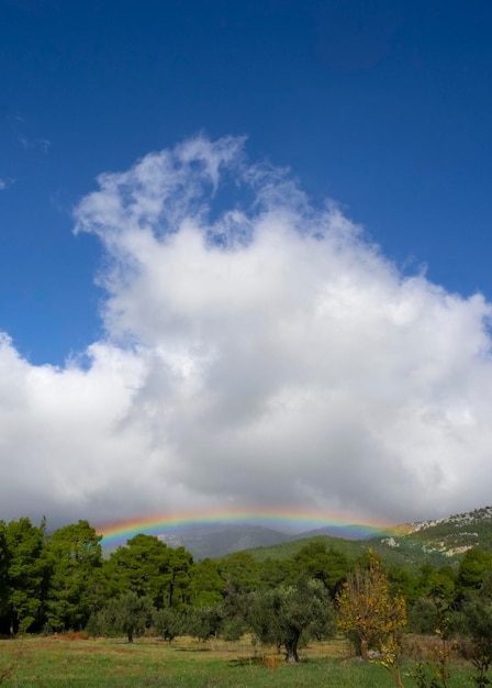 Rainbow in the sky over a pine forest on an island in greece