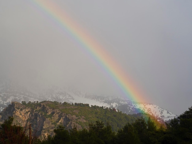 Rainbow in the sky over a pine forest on an island in Greece