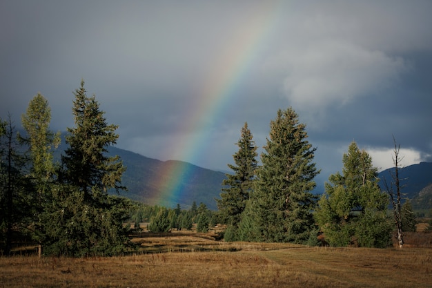 Rainbow among trees against background of hills