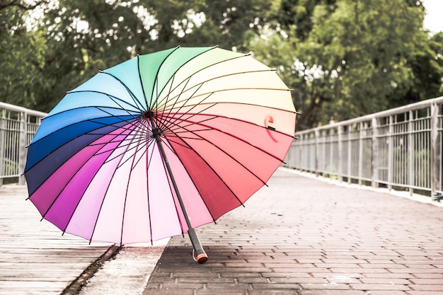 Rainbow umbrella on the floor in a park