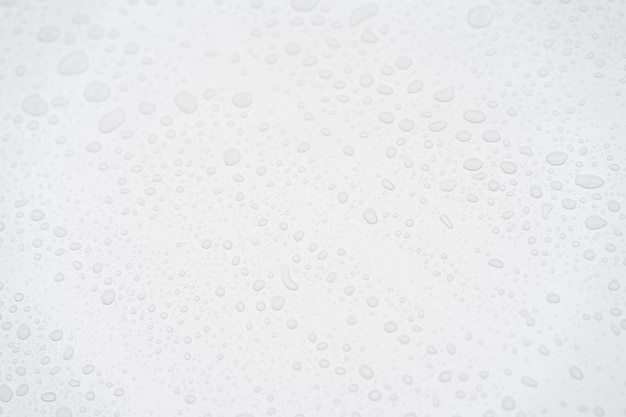 Raindrop Realistic pure water droplets condensed for creative banner design Close up of water drops on white background Abstarct white drop rain texture with bubbles