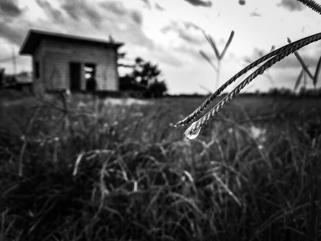 写真 雨滴の夕日