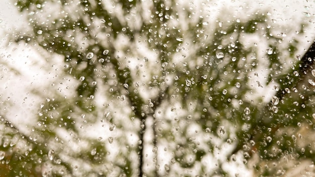 木の反射でガラスに雨滴が見える