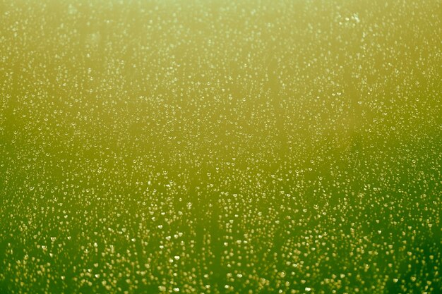 Raindrops green