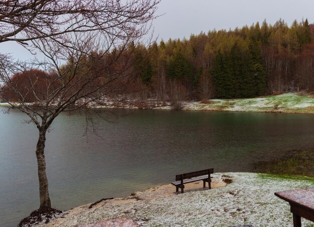 Raindrops and Hail in the Lake Calamone Reggio Emilia Italy