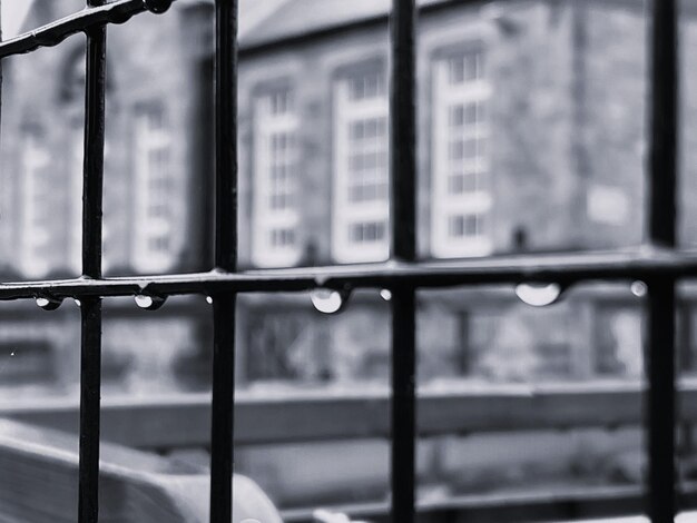 Raindrops on a metal fence monochrome photography