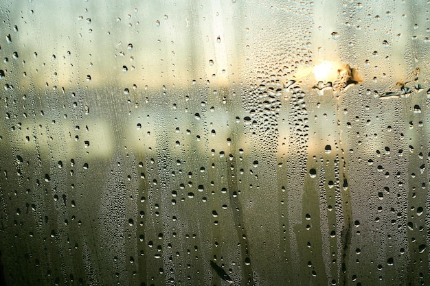 写真 ガラスの窓に降る雨