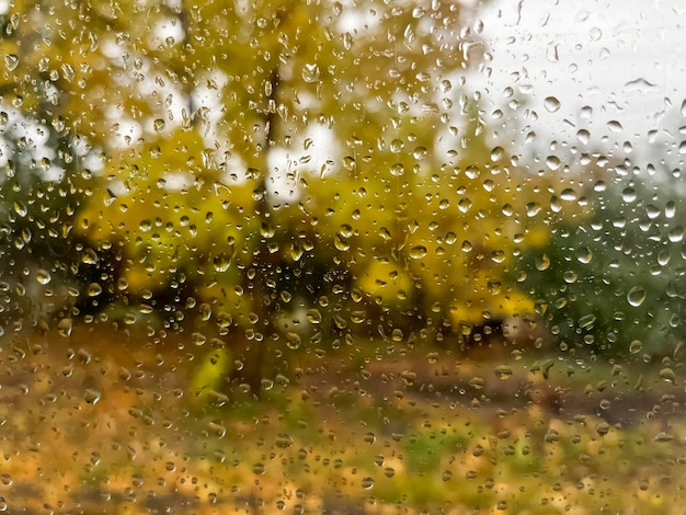 Фото Капли дождя на стекле капли дождя на окне на фоне желтого дерева осеннее окно