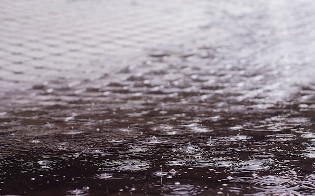 Photo raindrops in a puddle