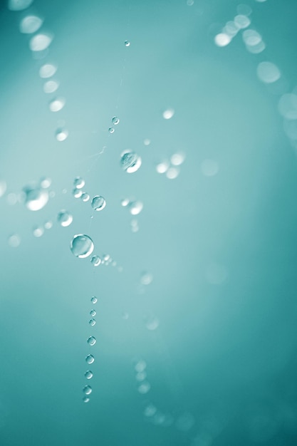 raindrops on the spider web in rainy days abstract backgrounds