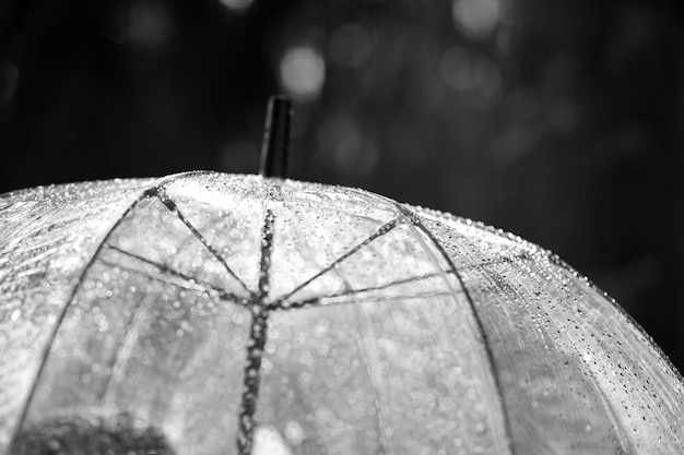 透明な傘の雨滴。黒と白