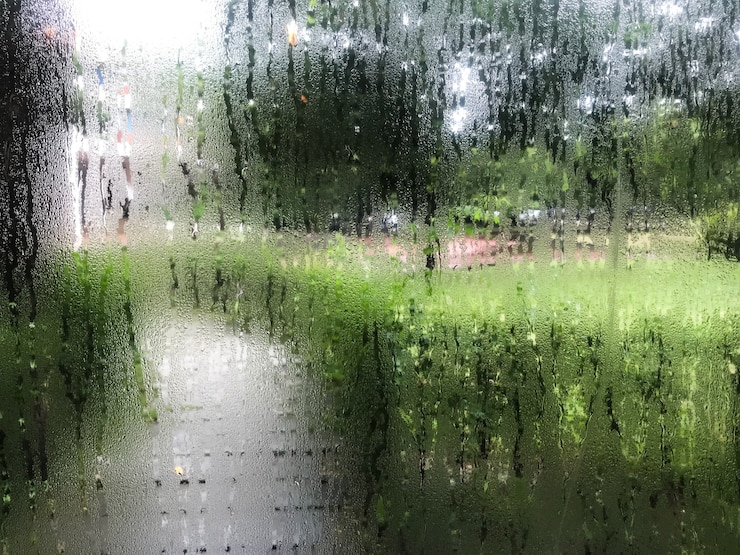 Photo 창가의 빗방울 자연의 음색