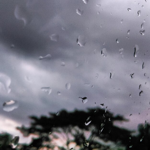 Raindrops on window