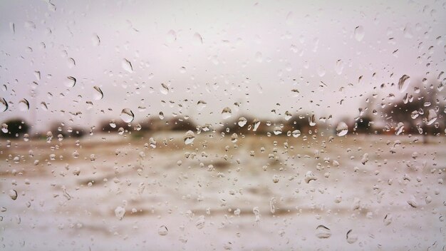 フロントガラスの上の雨滴