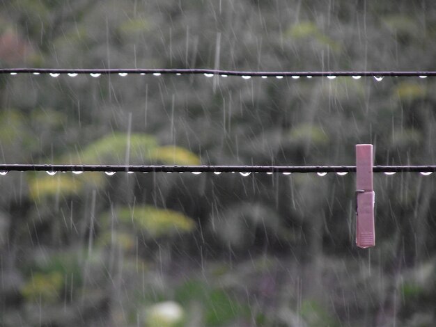 Photo raindrops