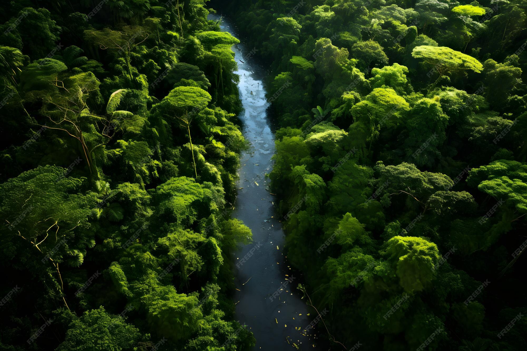Premium AI Image | Rainforest Canopy Aerial View