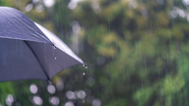 Photo raining season with black umbrella