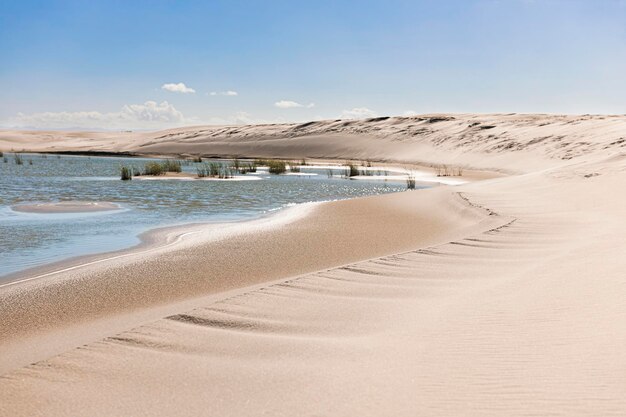 Rainwater lagoon formed in the dunes of cidreira beach vegetation and blue sky on a sunny day