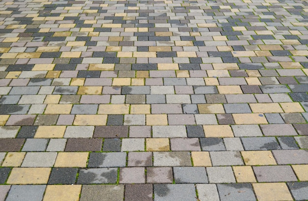 Rainy colorful brick land. rainy day outdoor. colorful brick backdrop