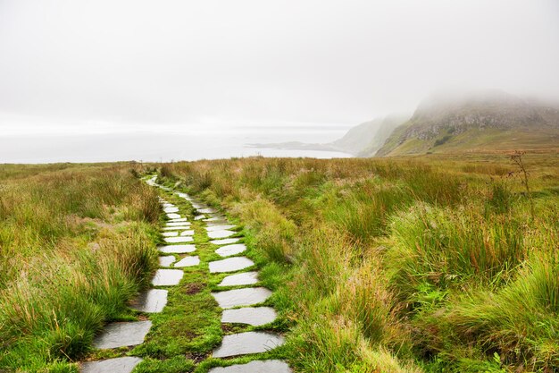 Rainy morning on Runde island in Norway. Summer landscape