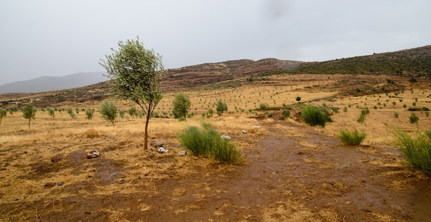 비오는 자연과 모로코의 언덕