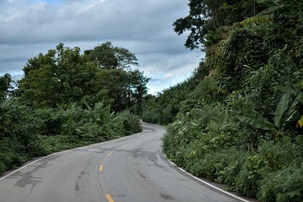 Проселочная дорога в сезон дождей с деревьями рядом с концепцией